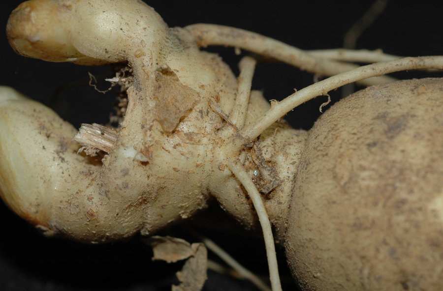 2011-10-3 19-24-39.jpg