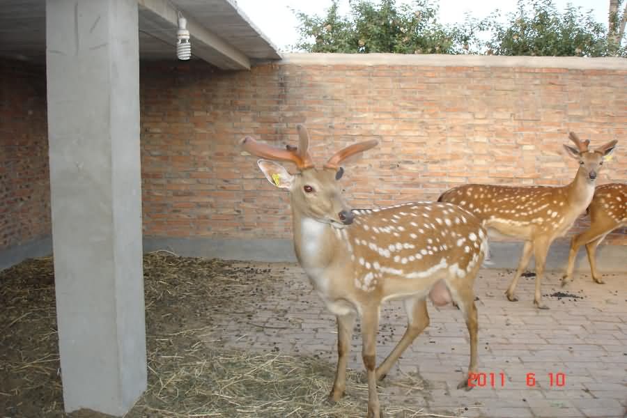 DSC03679a.JPG