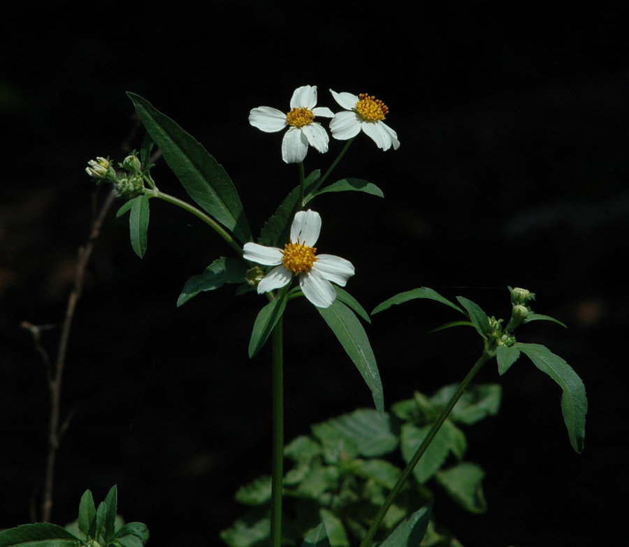 2011-10-10 21-03-51.jpg