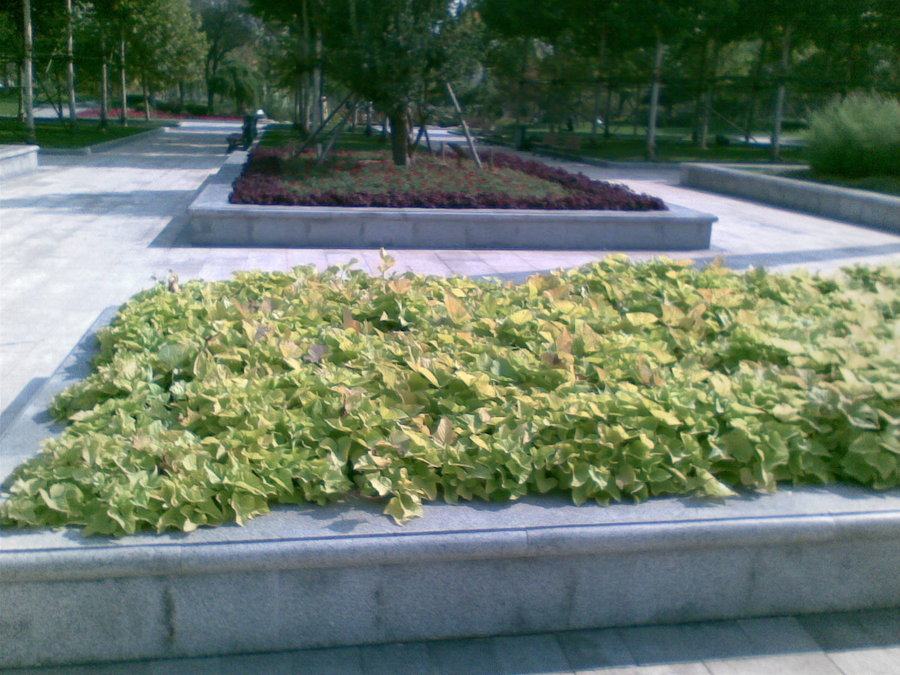 20111018.jpg