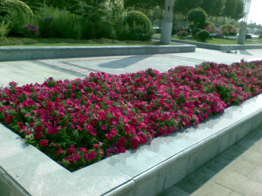 20111018(001).jpg