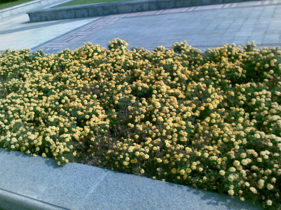 20111018(002).jpg