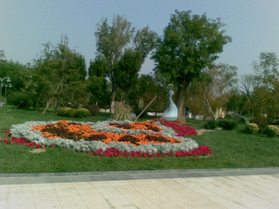 20111018(018).jpg
