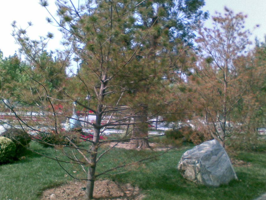 20111018(022).jpg
