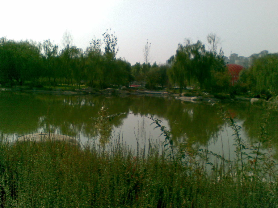 20111018(031).jpg