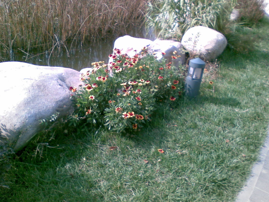 20111018(032).jpg