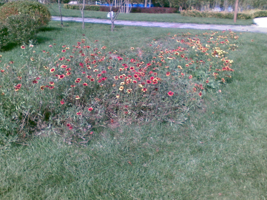 20111018(035).jpg