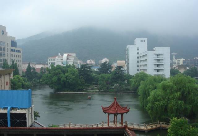 窗下——夏日雨景.jpg