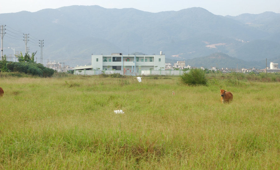 2011-10-21 21-35-54.jpg