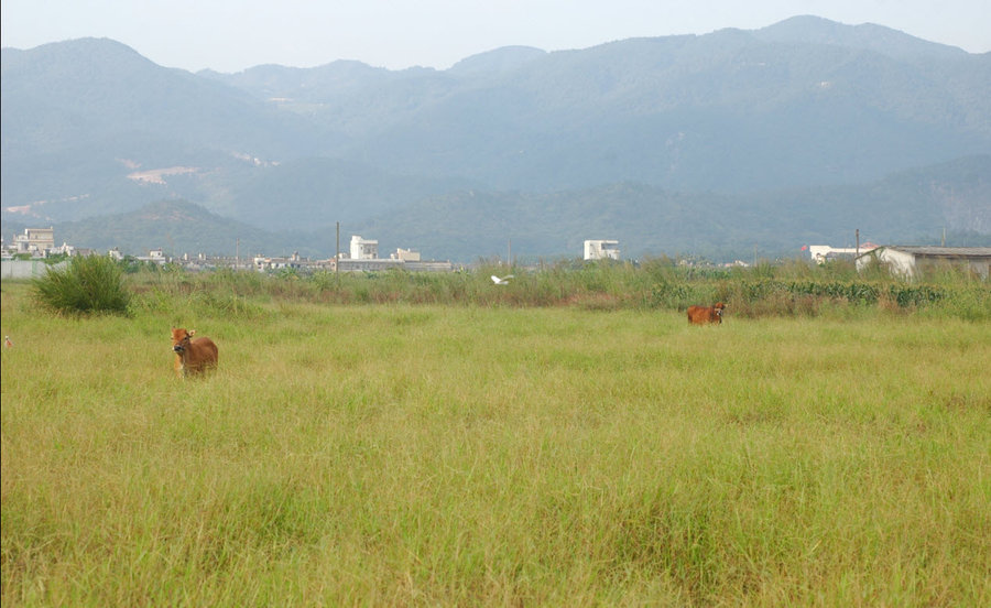 2011-10-21 21-36-24.jpg