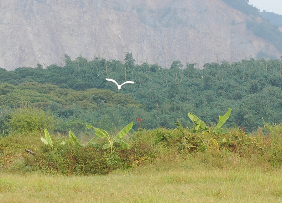 2011-10-21 21-37-05.jpg
