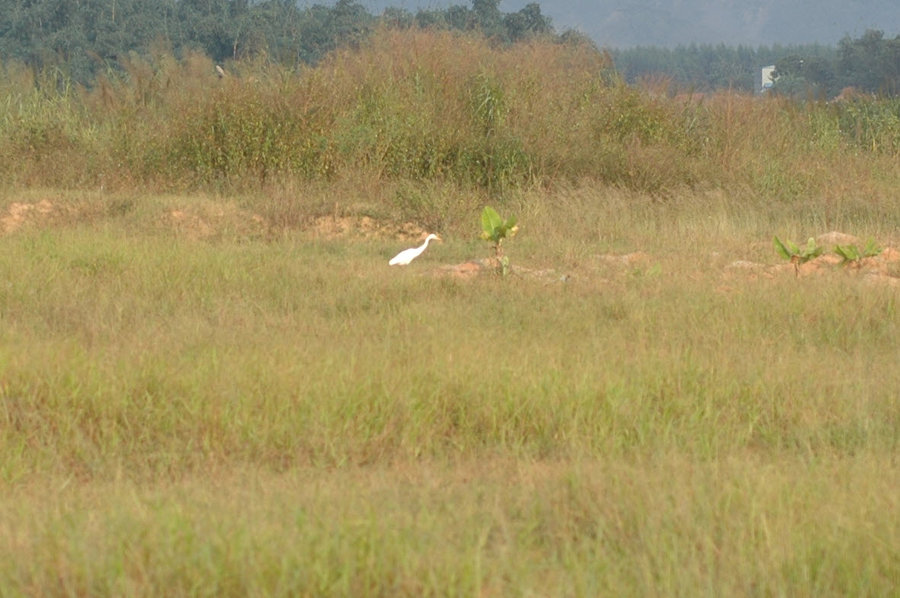 2011-10-21 21-38-45.jpg