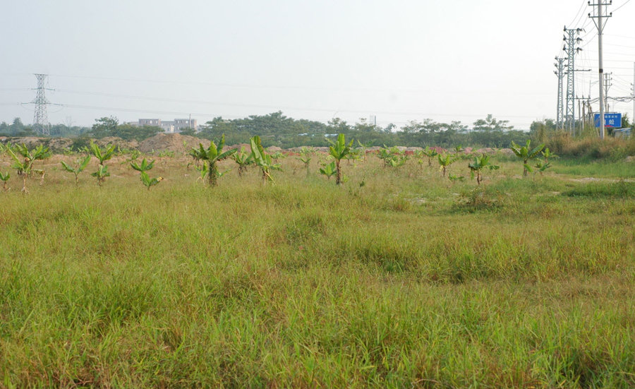 2011-10-21 21-39-43.jpg