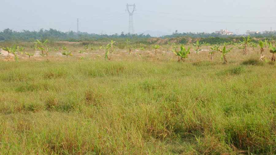 2011-10-21 21-40-01.jpg