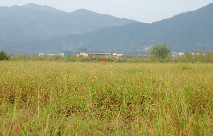 2011-10-21 21-43-36.jpg