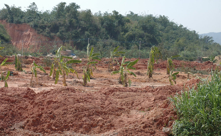 2011-10-21 21-44-33.jpg