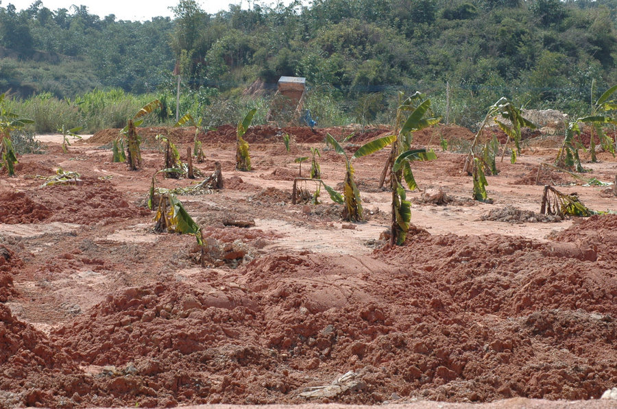 2011-10-21 21-45-43.jpg