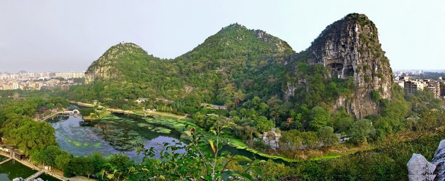 穿山全景.jpg