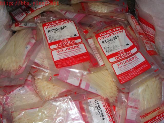 DSCF9566_1.jpg