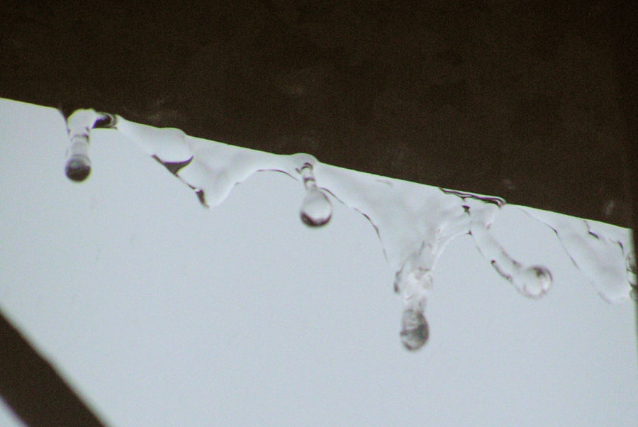 PICT_4869.JPG