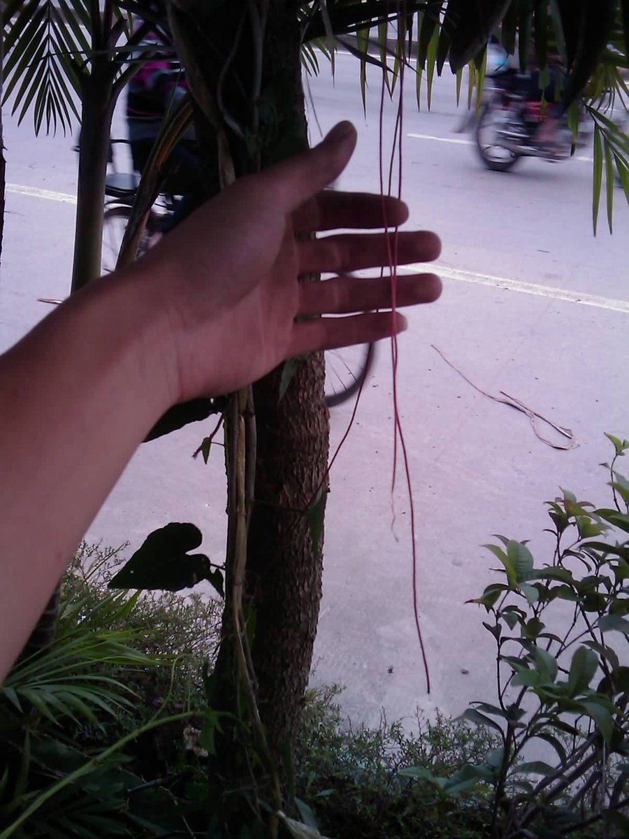 IMAG0246.jpg