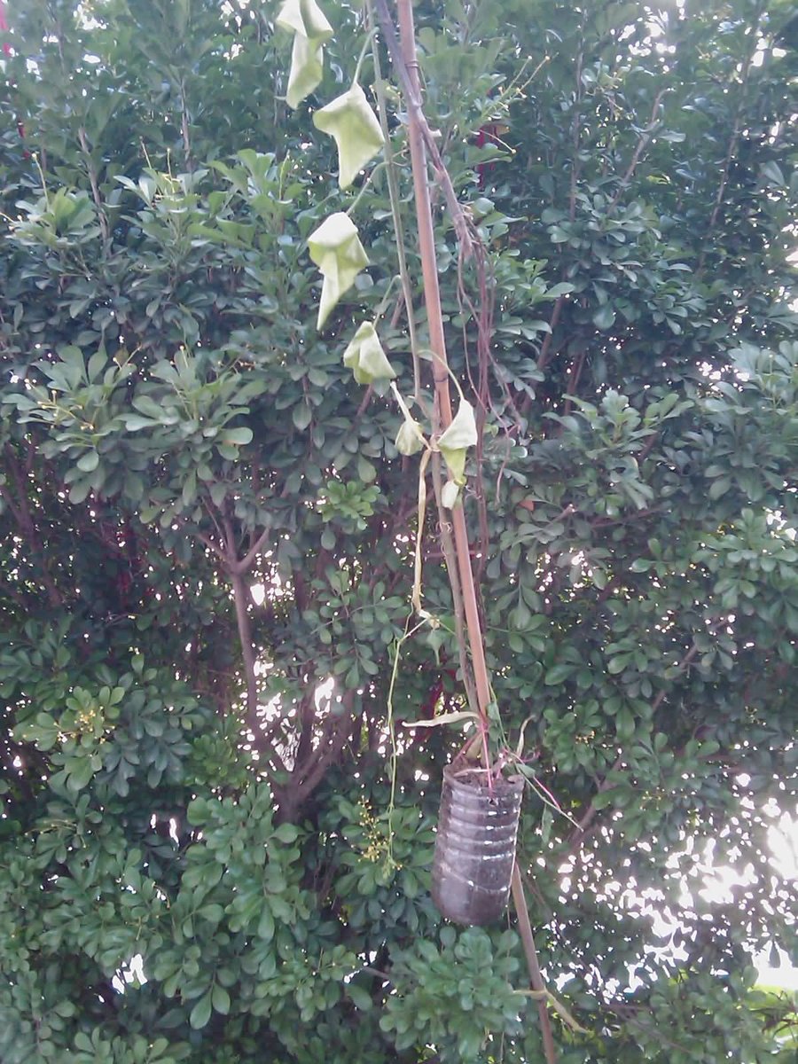 IMAG0307.jpg