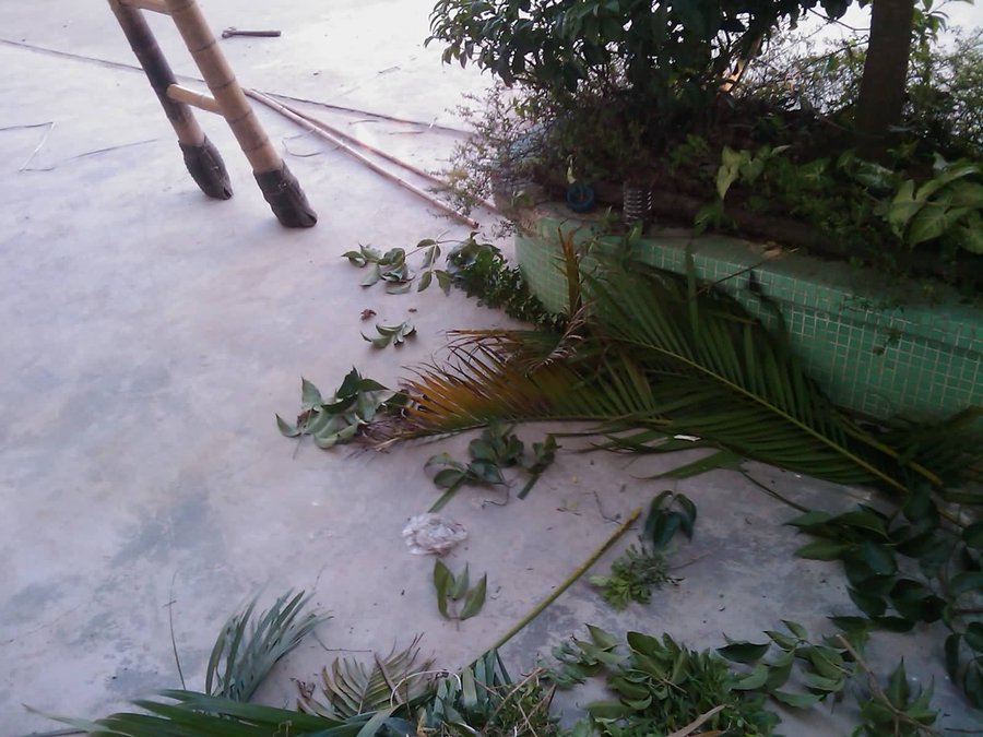 IMAG0312.jpg