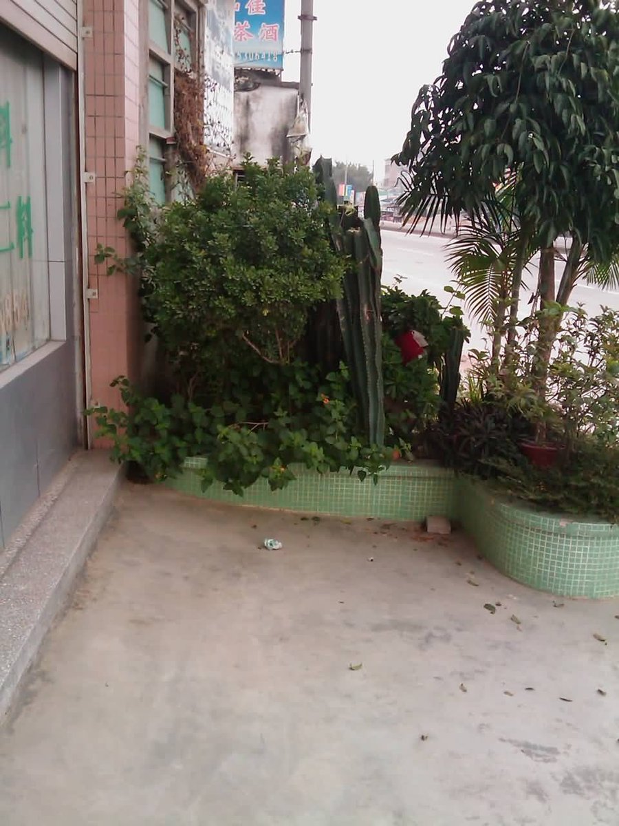 IMAG0390.jpg