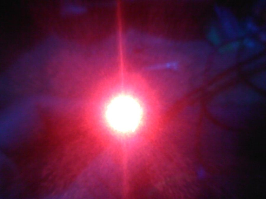 2011-11-30-147.jpg