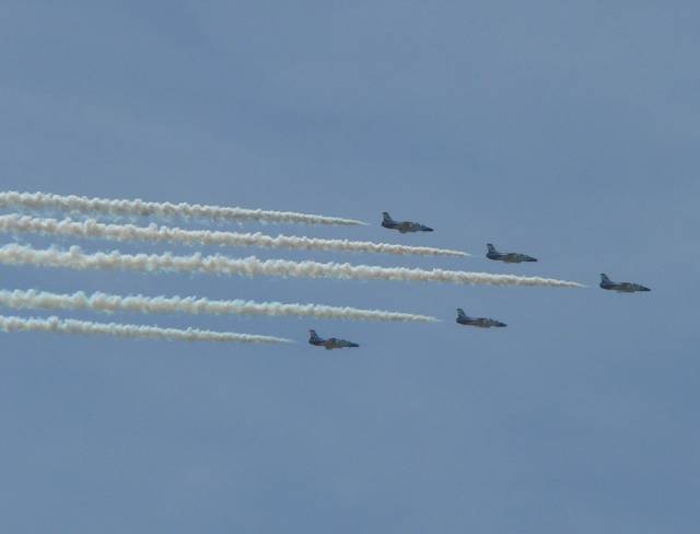 P1030447.jpg