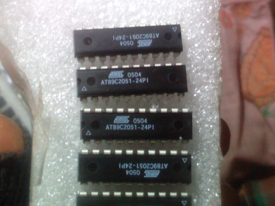 2011-12-04-437.jpg