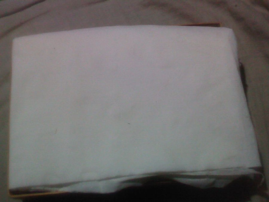 2011-12-05-481.jpg