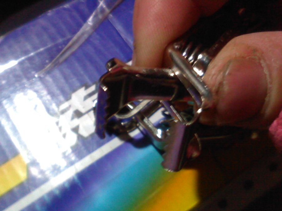 2011-12-05-517.jpg