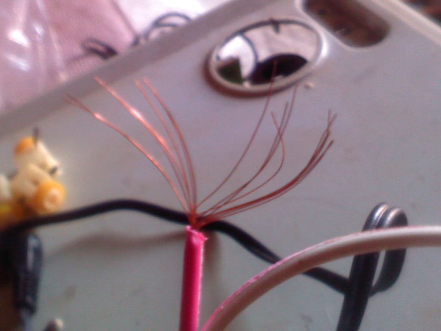 2011-12-02-238.jpg