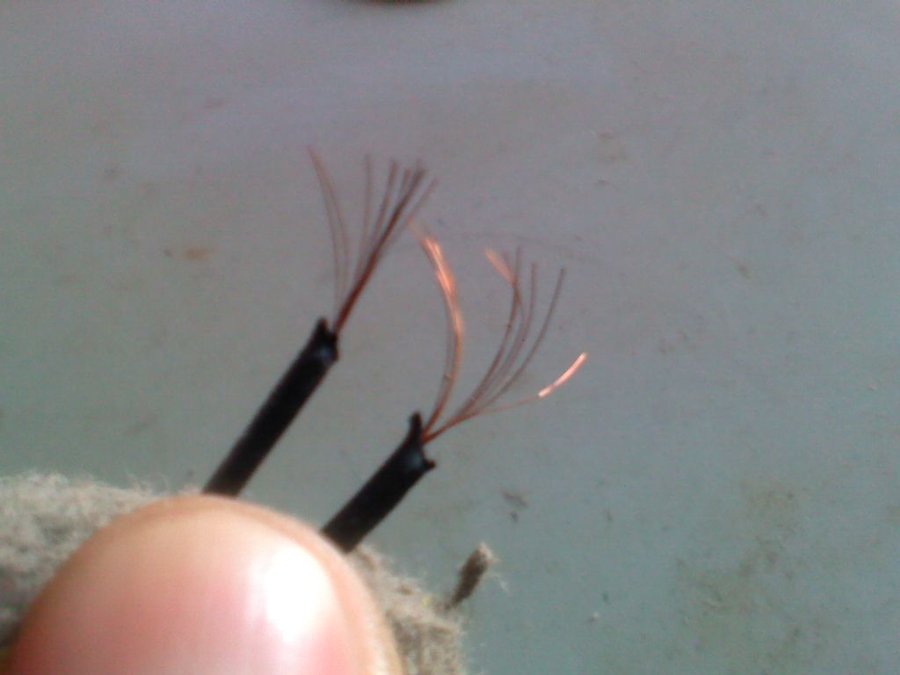 2011-12-02-244.jpg