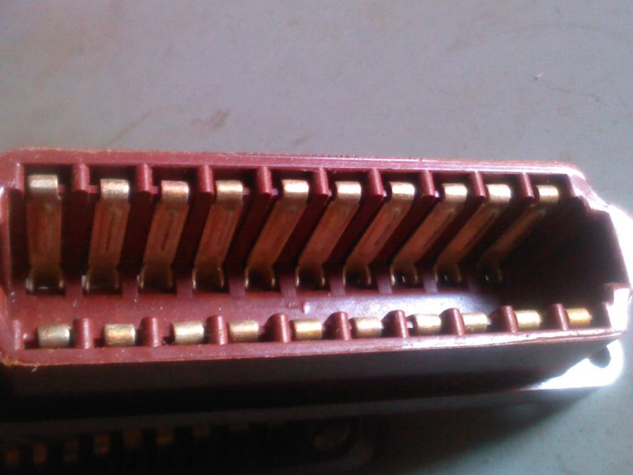 2011-12-02-272.jpg