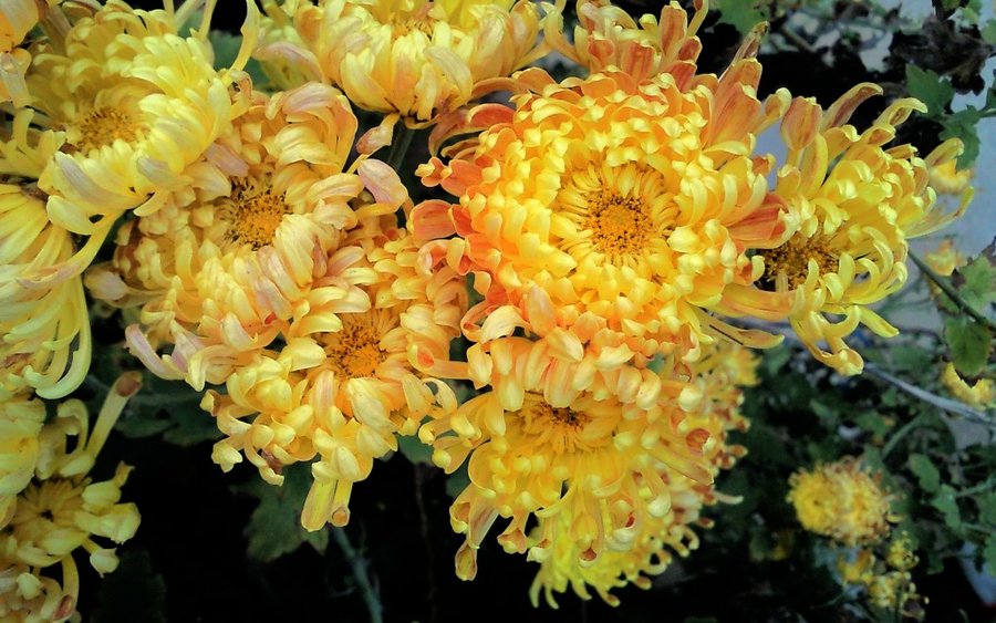SNC00084.jpg