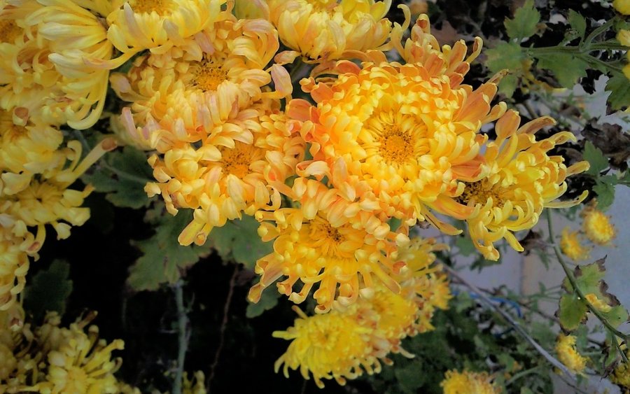 SNC00085.jpg