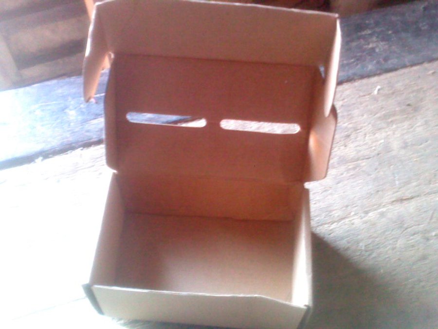 2011-12-03-309.jpg