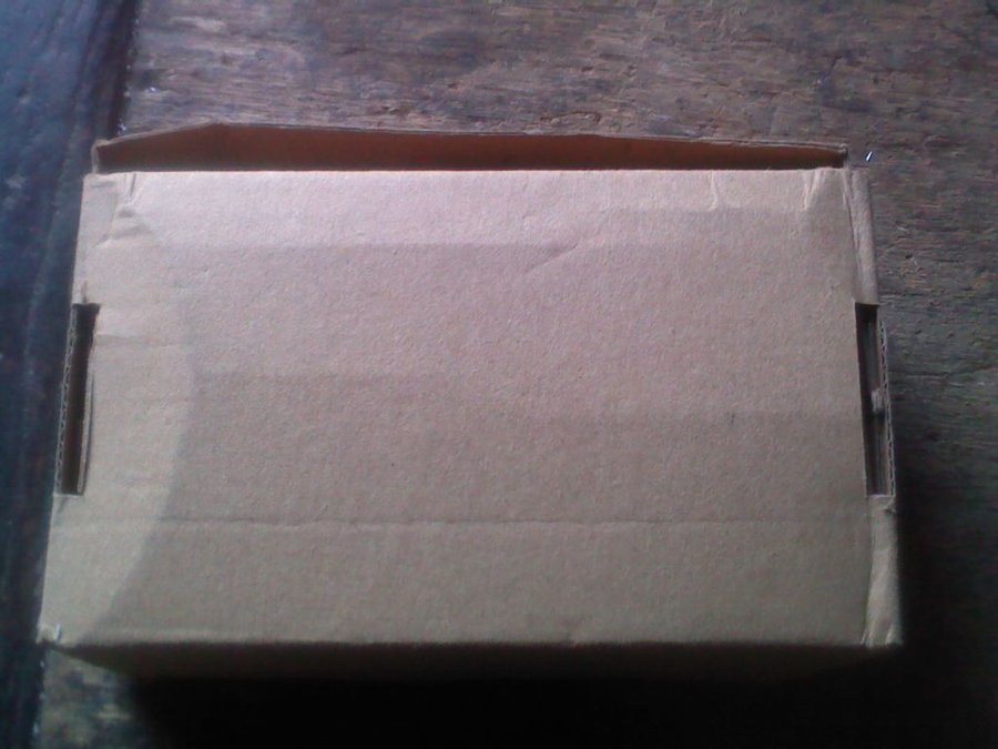 2011-12-03-315.jpg