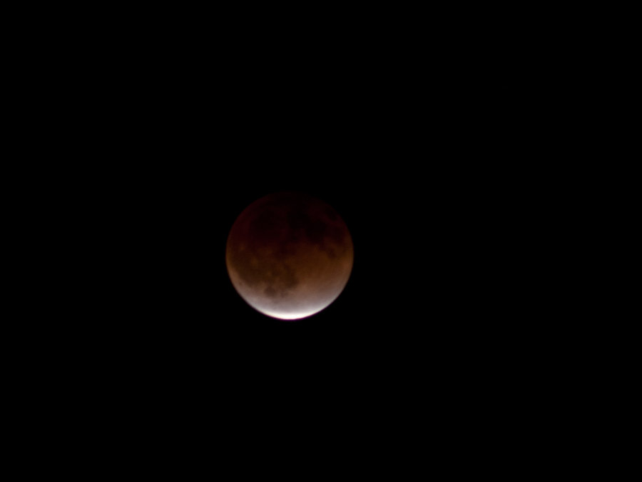 DSC09781.jpg