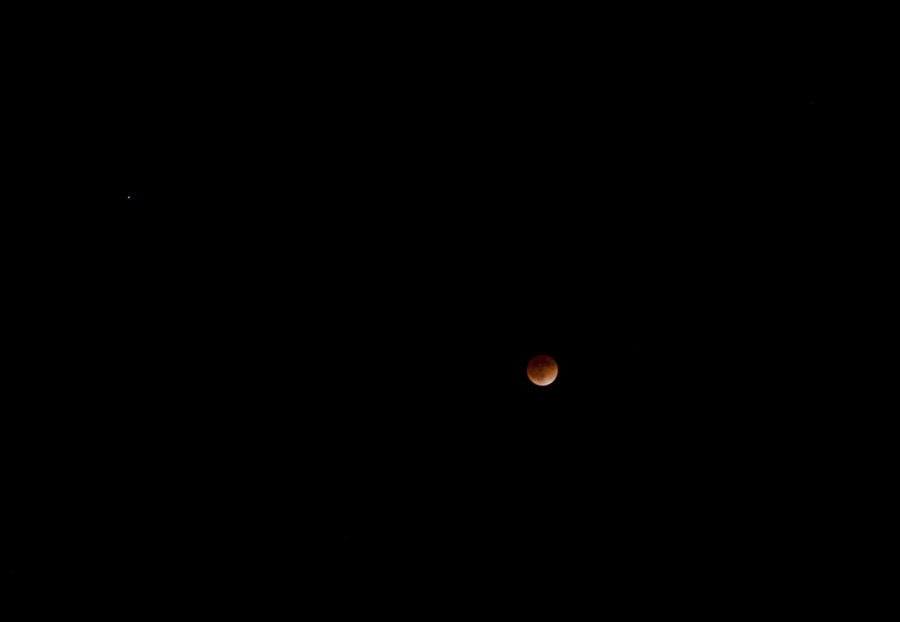 DSC09768.jpg