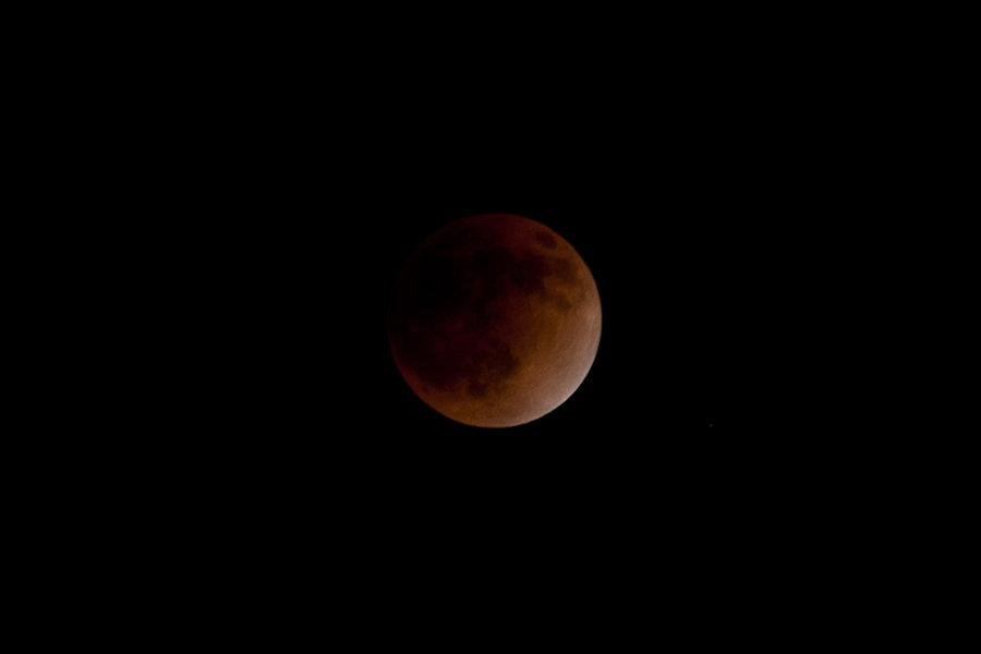 DSC09750.jpg