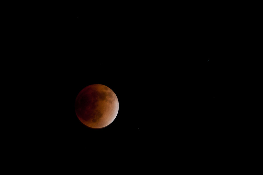 DSC09740.jpg
