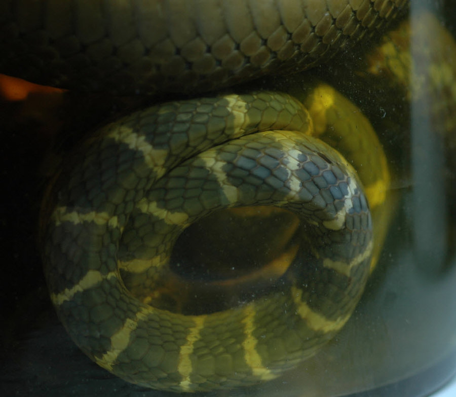 2011-12-8 12-47-07.jpg