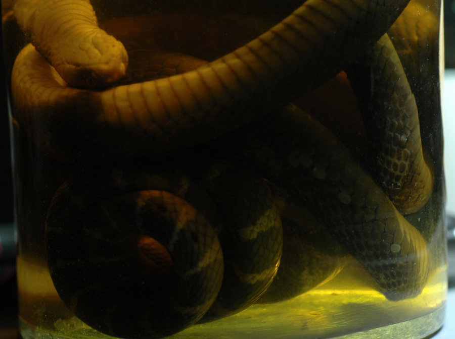 2011-12-8 12-49-32.jpg