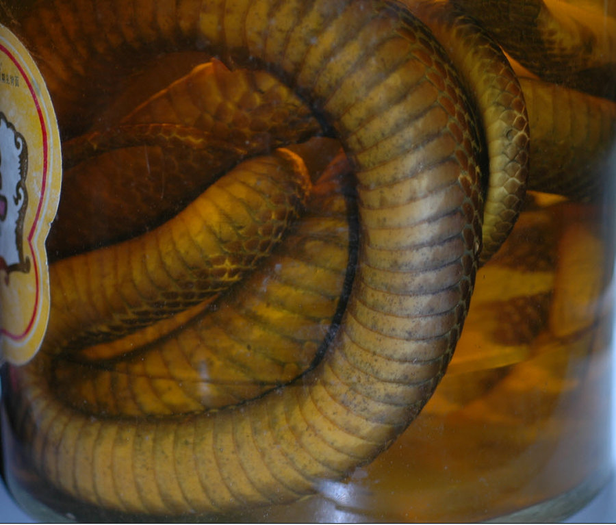 2011-12-8 12-50-06.jpg