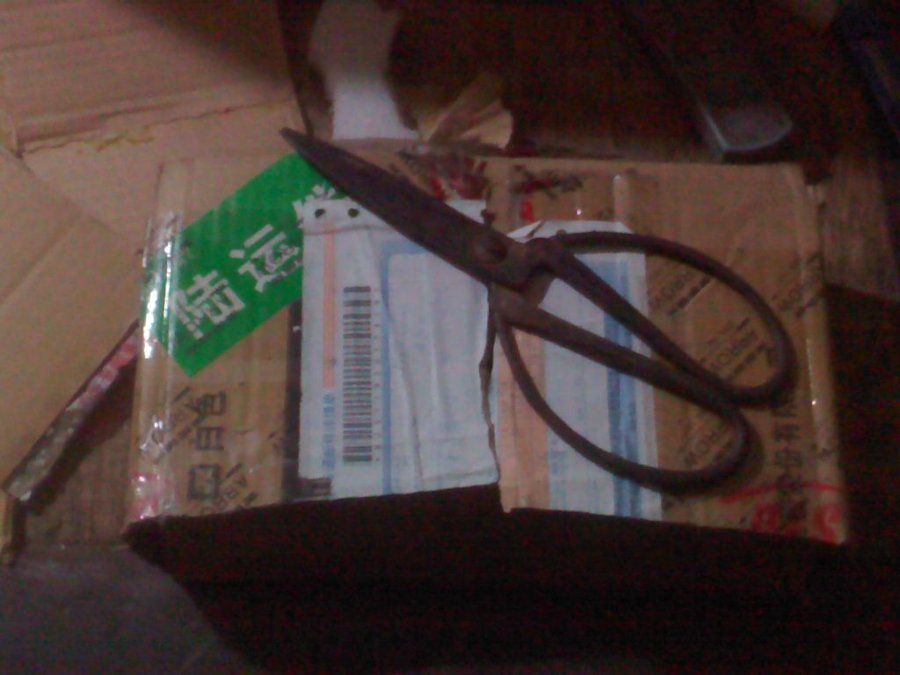 2011-12-15-502.jpg