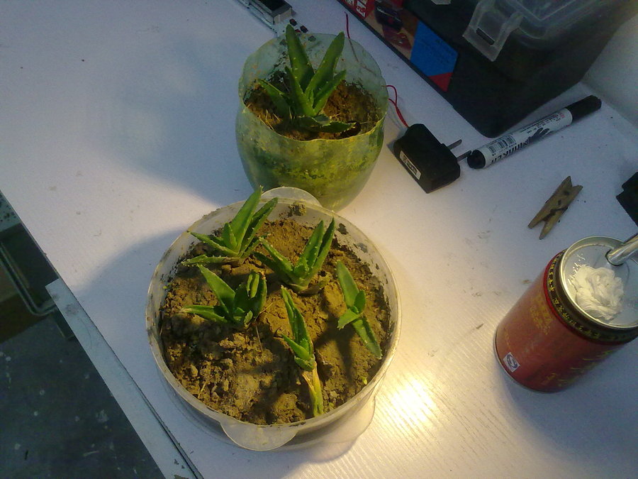 20111212569.jpg