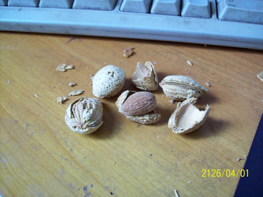 100_0463.JPG